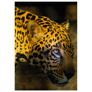 Eye of the Jaguar — A Greeting Card Born for the Bold