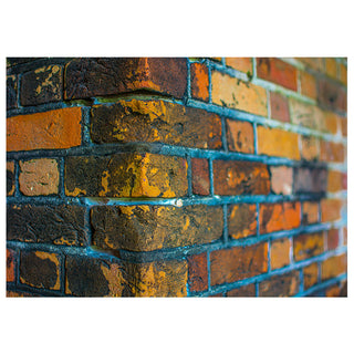 Built to Last: The Bricks of Fort Morgan and the Stories They Hold