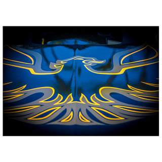 The Screaming Chicken: An American Icon in Black and Gold