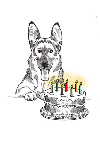 Funny Bones Dogs & Cats