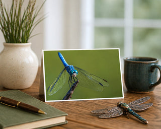 Greeting card with a blue dragonfly on a green background, placed on a wooden surface with a pen, notebook, and mug. Will Davis Studios