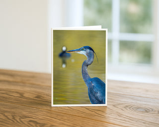 Great Blue Heron fine art wildlife photography greeting card standing on a wooden table, featuring a graceful heron with a curved neck and yellow eye against soft water reflections, 5x7 nature bird card by Matt Punches from Will Davis Studios.
