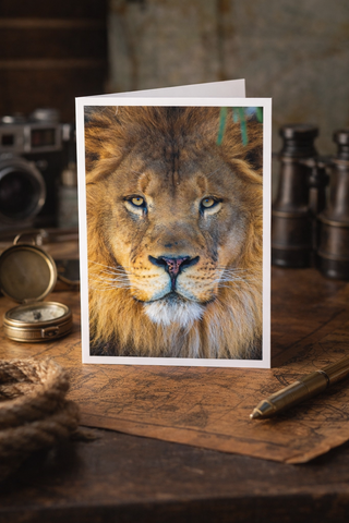 Stunning Lion Close Up Fine Art Photography Greeting Card (5 X 7)