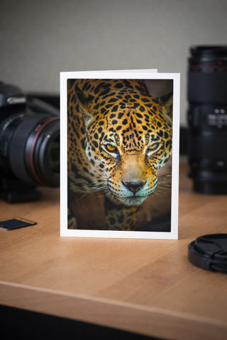 Jaguar Close Up in the Morning Sun Fine Art Photography Greeting Card (5 X 7)