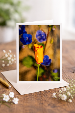5x7 fine art greeting card featuring an orange California poppy bud against a soft blue floral background, displayed with envelope, gold pen, and delicate white flowers on a rustic wooden surface.

