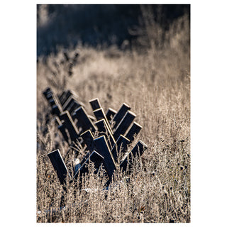 Old Wooden Fence in a field of tall grass