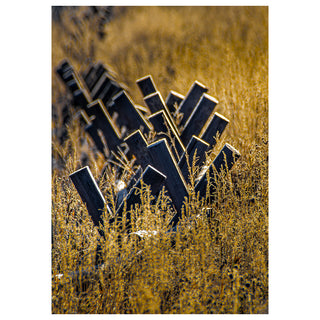 Dark wooden crosses in a field of tall yellow grass. Fine Art Greeting Card By Will Davis Studios Photo by Matt Punches