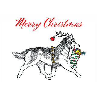 Illustration of a Siberian Husky with Christmas decorations and 'Merry Christmas' text on a white background. Fine Art Greeting Card by Will Davis Studios