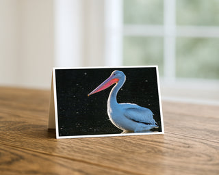 Will Davis Studios 5x7 greeting card featuring an American White Pelican portrait displayed standing open on a wooden surface with a soft natural light background.