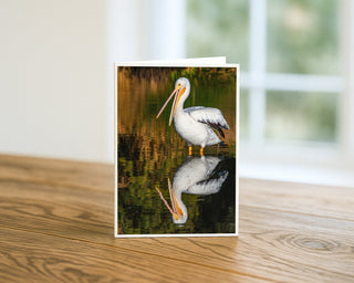 American White Pelican standing in calm water with a clear reflection, featured on a 5x7 fine art photography greeting card displayed on a wooden table by Will Davis Studios.