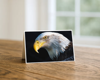 Landscape 7x5 fine art greeting card displayed on a wooden table featuring a dramatic close-up portrait of a bald eagle with a sharp yellow beak and detailed feathers against a dark background by Will Davis Studios.