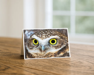 7x5 landscape greeting card displayed on a wooden table featuring a close-up portrait of a burrowing owl with striking bright yellow eyes and detailed brown feathers, fine art wildlife photography by Will Davis Studios.