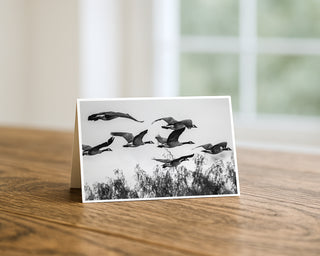 5x7 greeting card featuring black and white Canada Geese in flight wildlife photography displayed on a wooden table with soft natural window light background.