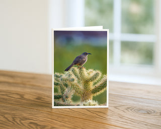 Curved-billed thrasher perched on a cholla cactus featured on a 5 x 7 desert wildlife photography greeting card displayed on a wooden table.