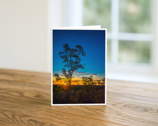 Desert sunrise fine art landscape photography greeting card standing on a wooden table, featuring golden sunrise light behind desert trees and a colorful Southwest sky, 5x7 nature card by Matt Punches from Will Davis Studios.