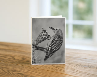 Black and white Gila woodpecker greeting card standing upright on a wooden table beside a softly blurred window, showing the bird clinging to a cactus stem and feeding at a spent bloom. 5x7 fine art photography card by Will Davis Studios.