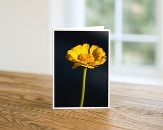 A fine art greeting card featuring a golden calendula flower on a midnight blue background, standing upright on a wooden table near a bright window, by Will Davis Studios