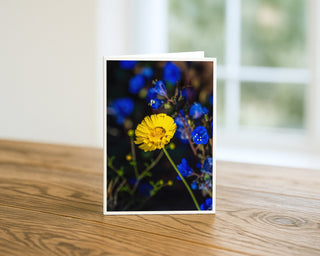 5x7 fine art photography greeting card featuring a bright golden desert daisy surrounded by soft blue wildflowers, displayed upright on a wooden table by Will Davis Studios
