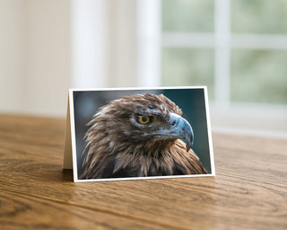 Golden eagle close-up fine art photography greeting card displayed on a wooden table, wildlife greeting card by Will Davis Studios