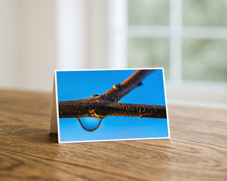 Landscape 7x5 fine art greeting card displayed on a wooden table featuring a macro photograph of a golden water droplet hanging from a tree branch against a vibrant blue background by Will Davis Studios