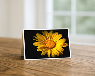 5x7 fine art greeting card featuring a vibrant golden yellow daisy against a deep black background, photographed in an artistic minimalist style.