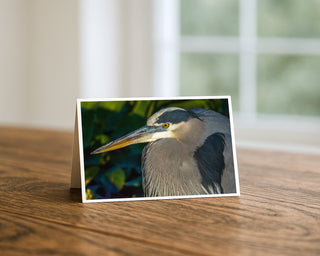 Great Blue Heron close up fine art wildlife photography greeting card displayed on a wooden table, featuring a detailed heron portrait with yellow eye and long beak, 5x7 nature bird card by Matt Punches from Will Davis Studios.