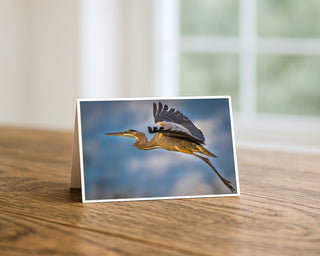 7x5 fine art greeting card displayed on a wooden table featuring a great blue heron flying against a soft blue sky background, wildlife photography by Will Davis Studios.