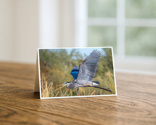 5x7 Great Blue Heron in flight wildlife photography greeting card displayed on a wooden table with soft window light background