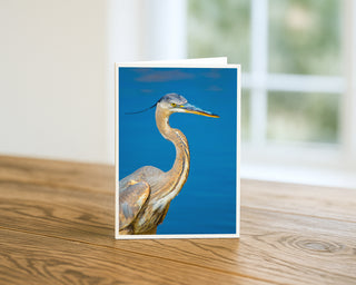 Great Blue Heron portrait fine art wildlife photography greeting card standing on a wooden table, featuring a detailed heron with a long curved neck and yellow eye against a calm blue water background by Matt Punches from Will Davis Studios.
