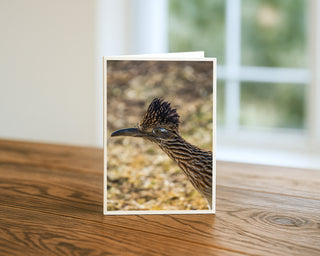 5 x 7 greeting card featuring a close-up portrait of a Greater Roadrunner with raised crest feathers against a soft desert background, fine art wildlife photography