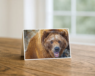 5x7 greeting card featuring a close-up grizzly bear with snow on its fur, wildlife photography card displayed on a wooden table by Will Davis Studios