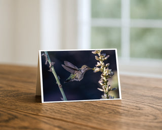 Hummingbird and desert yucca bloom 5x7 greeting card from Will Davis Studios displayed standing on a wooden table near a bright window — hummingbird hovering at white yucca flower stalk, Southwest wildlife fine art card