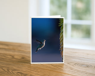 Photograph of a hummingbird in flight approaching a flower for nectar against a soft blue background, wildlife greeting card by Will Davis Studios.