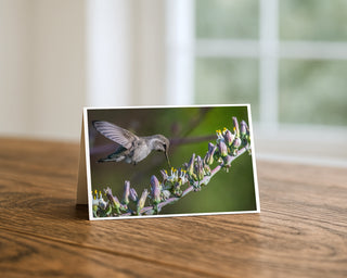 Hummingbird photography greeting card standing on a wooden table beside a softly blurred window, showing the bird hovering at a stem of desert blooms. 5x7 fine art card by Will Davis Studios.