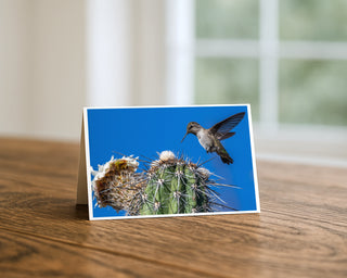 Hummingbird and saguaro cactus greeting card standing on a wooden table beside a softly blurred window, showing the bird hovering over white cactus blossoms against a blue sky. 5x7 fine art card by Will Davis Studios.