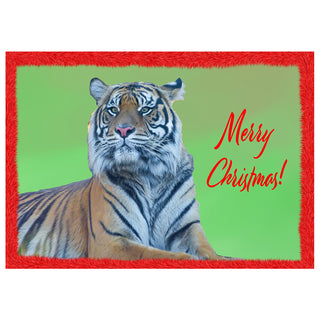 Tiger Merry Christmas fine art wildlife photography greeting card featuring a majestic tiger portrait with festive red border and holiday message, 5x7 Christmas card by Matt Punches from Will Davis Studios.
