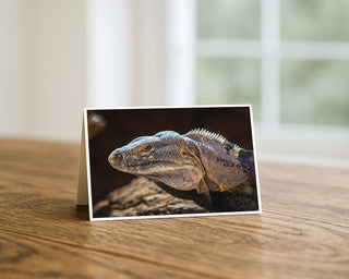 A fine art greeting card featuring a close-up portrait of an iguana with detailed scales and dorsal spines, displayed horizontally on a wooden table near a bright window, by Will Davis Studios.