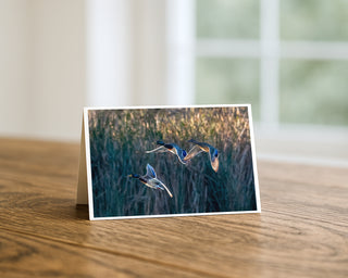 5x7 greeting card featuring three mallard ducks flying over wetland reeds, displayed on a wooden table with soft natural window light background. Will Davis Studios