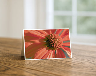 5x7 greeting card featuring a close-up coral desert flower with soft petals and textured center, fine art macro photography by Will Davis Studios