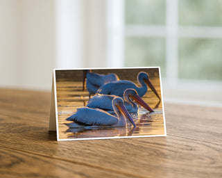 5x7 greeting card featuring white pelicans swimming at sunrise with golden reflections on the water, displayed on a wooden table.