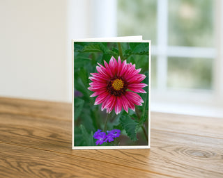 Will Davis Studios 5x7 greeting card featuring a deep rose and magenta Gaillardia blanket flower with white-tipped petals above vivid purple verbena blossoms against lush green garden foliage, displayed standing upright on a wooden surface with a soft natural light background.
