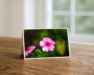 Pink periwinkle 5x7 greeting card from Will Davis Studios displayed standing on a wooden table near a bright window — single pink vinca flower with magenta center and green leaves, botanical fine art card
