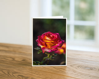 Pink and yellow rose 5x7 greeting card from Will Davis Studios displayed standing on a wooden table near a bright window — single bicolor rose bloom with magenta edges and golden yellow center, botanical fine art card