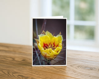 Will Davis Studios 5x7 greeting card featuring a luminous yellow prickly pear cactus flower with a dramatic crimson center and radiating stamens framed by deep burgundy spines, displayed standing upright on a wooden surface with a soft natural light background.