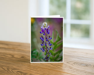 Purple lupine wildflower greeting card standing on a wooden table, fine art floral nature photography 5x7 card by Will Davis Studios.