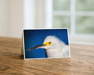 7x5 fine art greeting card on a wooden table featuring a close-up portrait of a snowy egret with bright yellow eye patch against a deep blue background, wildlife photography by Will Davis Studios