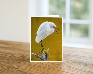 5x7 greeting card standing on a wooden table featuring a snowy egret perched on a branch with a warm golden background, fine art wildlife photography by Will Davis Studios