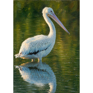 White pelican oil painting 5x7 greeting card from Will Davis Studios featuring a solitary American white pelican standing in still green water with a near-perfect reflection — wildlife fine art card