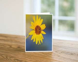 Will Davis Studios 5x7 greeting card featuring a wild sunflower with vivid yellow petals and a rich rust-brown center disk against a dreamy gradient bokeh background of soft yellow-green and cool blue, displayed standing upright on a wooden surface with a soft natural light background.