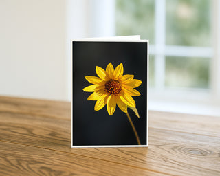 Wild sunflower 5x7 greeting card from Will Davis Studios displayed standing on a wooden table near a bright window — single yellow wild sunflower glowing against a dark background, botanical fine art card